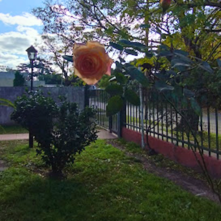 flor